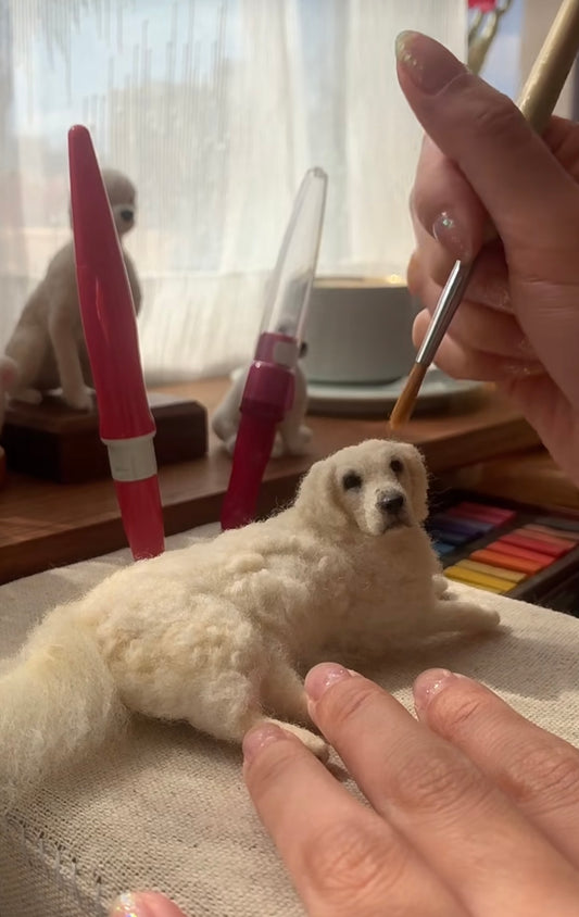 Best DIY Dog Toys 2023