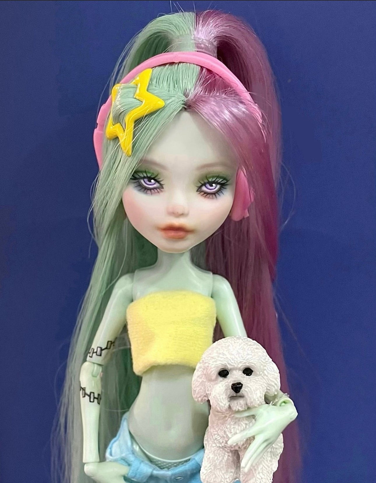 MONSTER HIGH DOLL 2022 halloween customes 081 repaint series limited collection