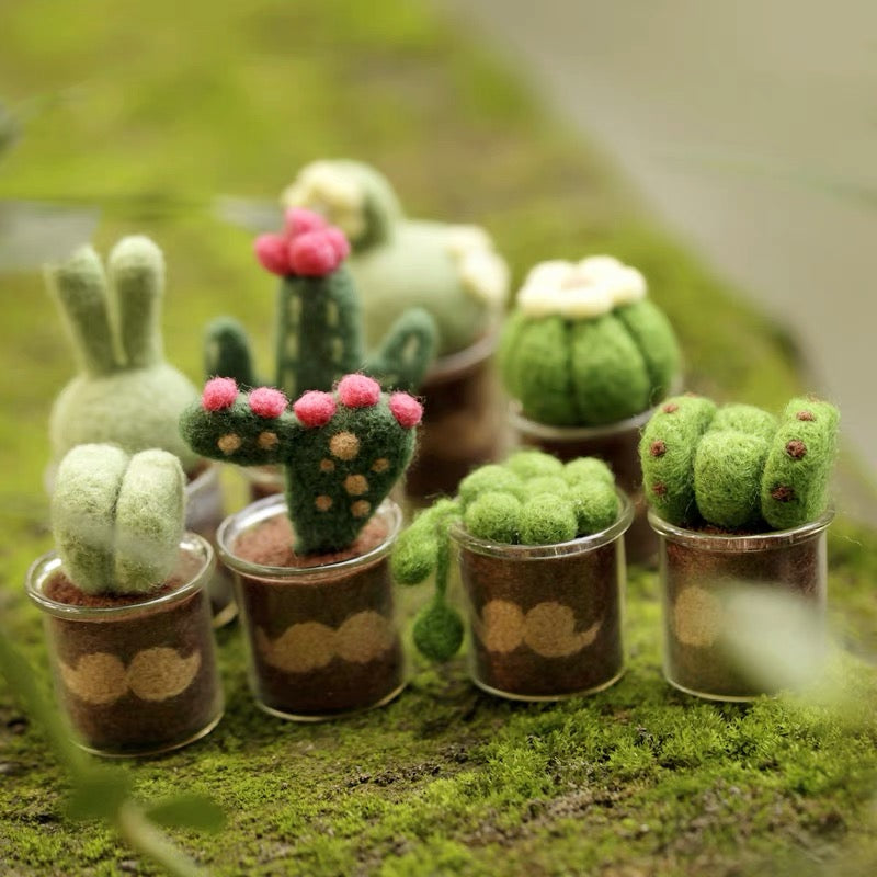 Needle Felting《Cactus》 Material Kit Handmade ,Animal Needle Felting Kit for Beginners 1set(8 Cactus)075