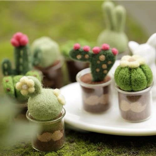 Needle Felting《Cactus》 Material Kit Handmade ,Animal Needle Felting Kit for Beginners 1set(8 Cactus)075