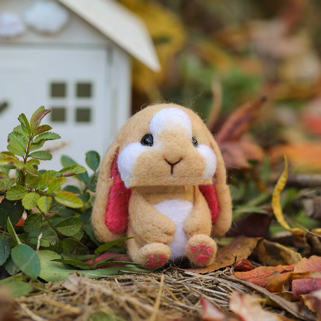 Needle Felting《rabbit》 Kit Handmade ,Animal Needle Felting Kit for Beginners 1set(2 rabbit)064