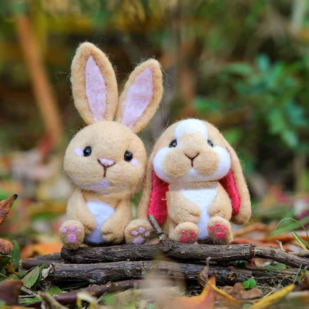 Needle Felting《rabbit》 Kit Handmade ,Animal Needle Felting Kit for Beginners 1set(2 rabbit)064