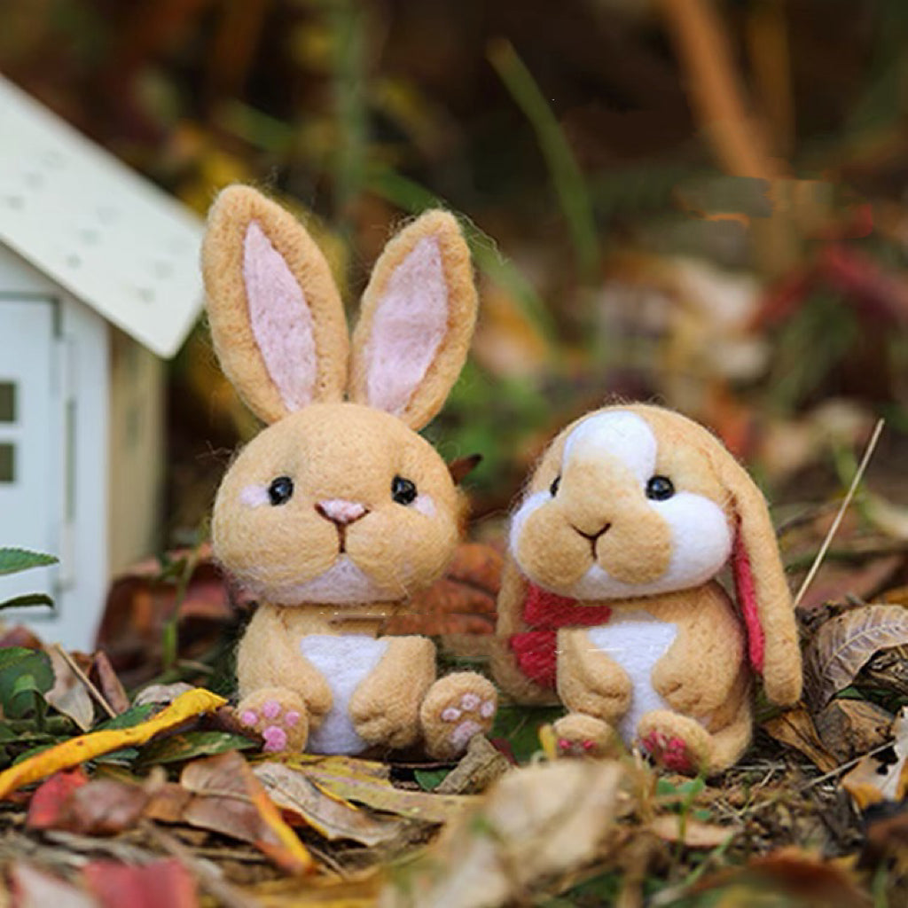 Needle Felting《rabbit》 Kit Handmade ,Animal Needle Felting Kit for Beginners 1set(2 rabbit)064