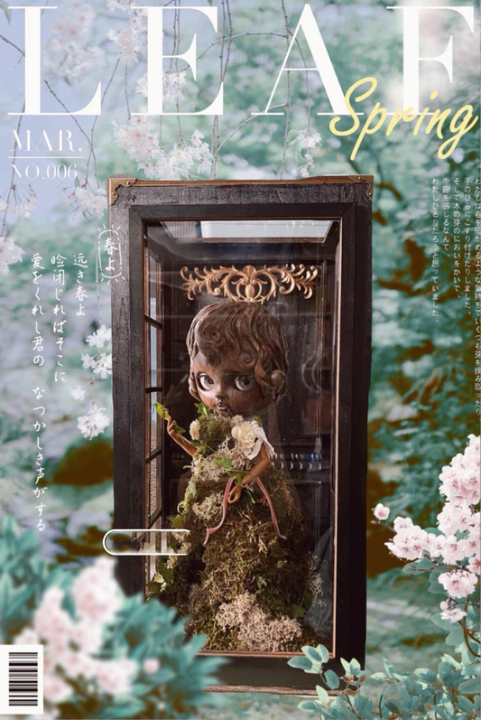 Blythe BJD dollhouse SHOW ROOM OB 24 /1/6 blythe/1/6 BJD DOLL SHOWCASE/DISPLAYCASE/CARRYCASE05