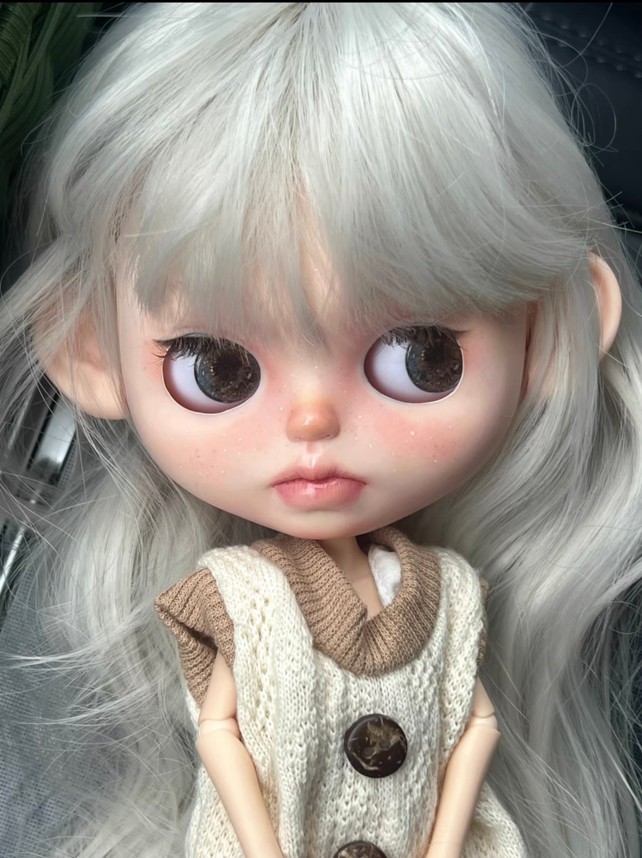 Custom Blythe Doll 2026 OOAK Blythe Limited -Art Doll 0113