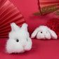 Needle felted wool Felting Animals 《Bunny》Material Kit Handmade Craft  013
