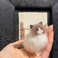 Needle Felted cat,Made to Order 01