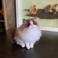 Needle Felted Cat,Made to Order09