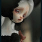 DOLLCHATEAU BJD DOLL SD 1/4(43CM) CECILIA FULL SET INSTOCK  Ball-jointed doll
