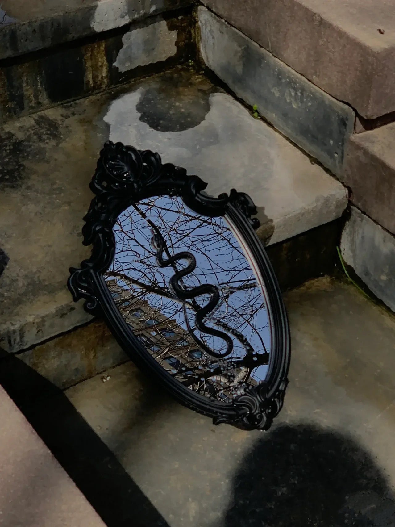 "Serpentine Reflections" Gothic Snake Makeup Mirror