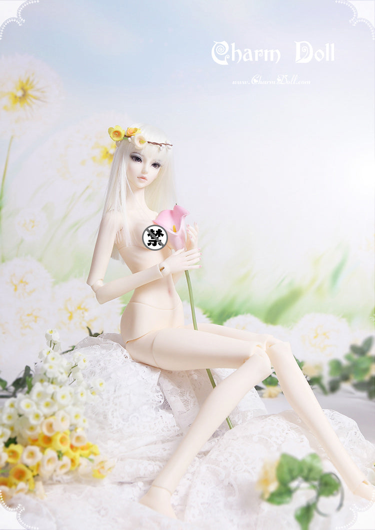 BJD DOLL 1/3 66cm Girl BODY Ball-jointed doll DOUBLE JOINT