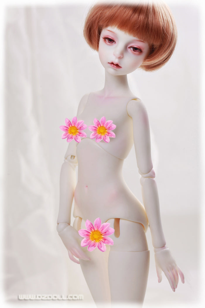 DOLLZONE BJD DOLL 42cm Girl Body (B45-012) Ball-jointed doll Instock